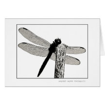 BWDragonfly Hälsningskort