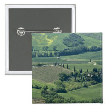 Bygd nära Montepulciano, Val d'Orcia, Knapp