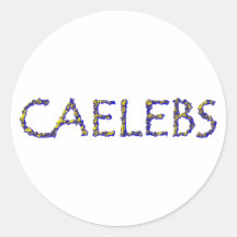 caelebs Junggeselle bachelor Runder Aufkleber