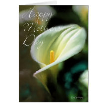 Cala Lilly-HMD Kort