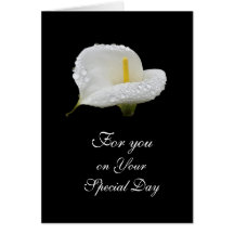 Calla Lilly: Speciell dag Kort