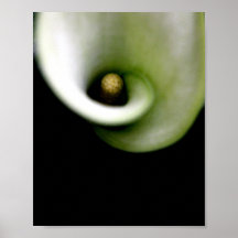 Calla Print