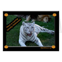 Cameron & enkelt Zabu Halloween kort