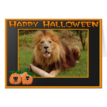 Cameron Hallloween kortfinare