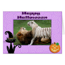 Cameron & Zabu Halloween kortfinare
