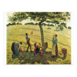 Camille Pissarro - Apple skördEragny 1888 olja Vykort