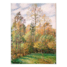 Camille Pissarro - höst, Poplars, Eragny Fotografier