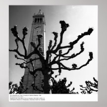 Campanilen från Plaza, Uc Berkeley, 1964 Affisch