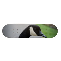 Canada goose custom skate board