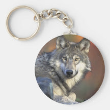 Canis_lupus_Grey varg Nyckelringar