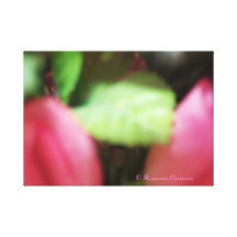 CanvasArt-TwoPinkRoses© Roseanne Pears 2012. Sträckta Kanvas Tryck