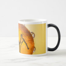 capoeira min kopp för kärlekkaffemugg