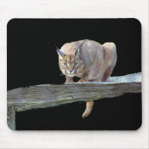 Caracal katt som huka sig ned Mousepad Mus Matta