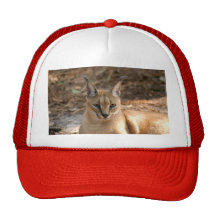 CaracalBCR030 Baseball Hat