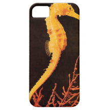 Carcasa iPhone 5 modelo caballito de mar iPhone 5 Cárcasas