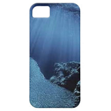 Carcasa iPhone 5 modelo fondo marino 2 iPhone 5 Carcasas