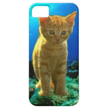 Carcasas iPhone 5 modelo gato en el fondo marino iPhone 5 Case-Mate Fundas