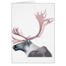 CARIBOU HÄLSNINGS KORT