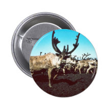 Caribou Pins