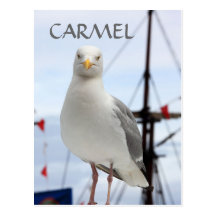Carmel, fiskmås- och fartygvykort