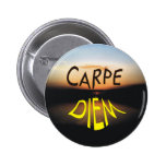 CARPE DIEM NÅL