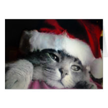 carte de noël faite vos voeux!!