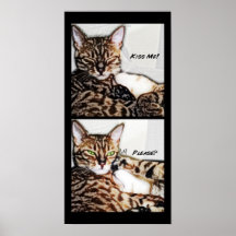 catcomic2 affisch