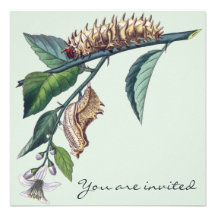 Caterpillar inbjudan