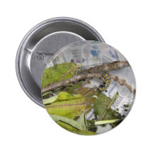 Caterpillar Nål
