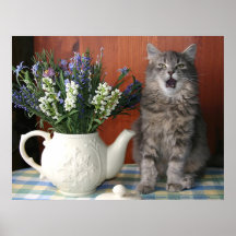 "Caterwaul", den sjungande katten Print