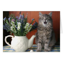 "Caterwaul", sjungande katt Notecard Hälsningskort