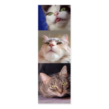Catloverss bokmärke visit kort
