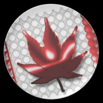 CDN-FLAGGA tallrikar