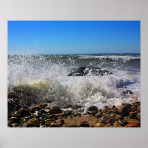 CedarTreeNeck16x20 Posters