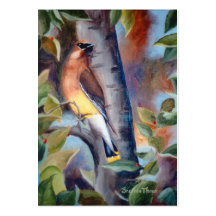 CederträWaxwing ArtCard Visitkort