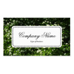 Center Label v5 - Wild Garlic Business Card