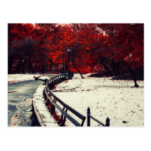 Central Park NYC Vykort