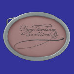 Cervantess häfte - hebilla de cinturón belt buckles