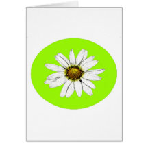 chamomile hälsningskort