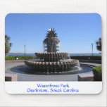Charleston SC-strand parkerar fontänmusen vadderar Musmatta