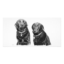 Charlie och Alfie - fotokort