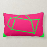 Chartreuse Fushsia Kudde