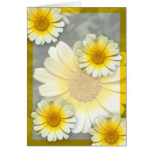 Cheery gula daisy kort