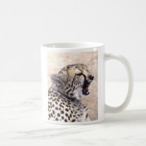 Cheetahs muggar