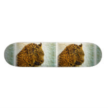 CheetahSkateboard