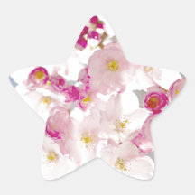 Cherry blossom / sakura / körsbärsblom stjärnformat klistermärke