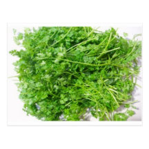 Chervil Vykort
