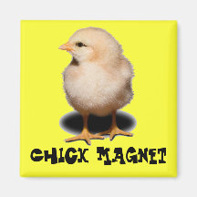 Chickmagnet Magneter För Kylskåp