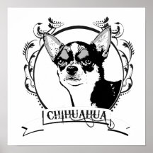 CHIHUAHUA (5) AFFISCH