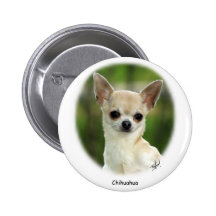 Chihuahua 9P93D-123 Knapp Med Nål